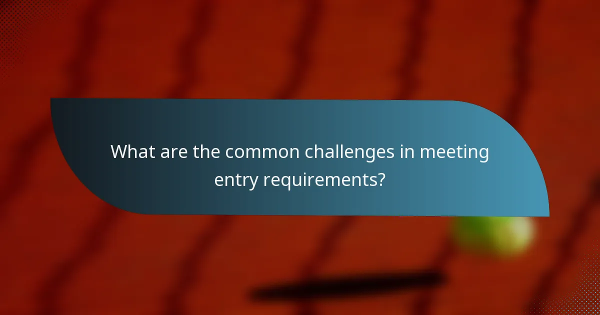 What are the common challenges in meeting entry requirements?
